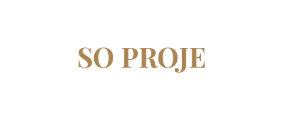 37-SO PROJE
